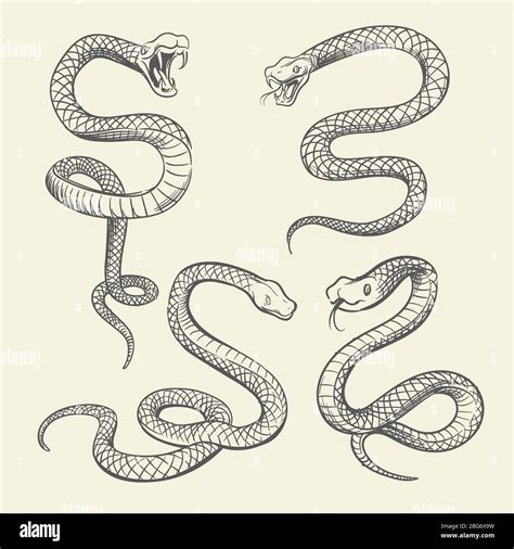 simple snake design|poisonous snake drawing.